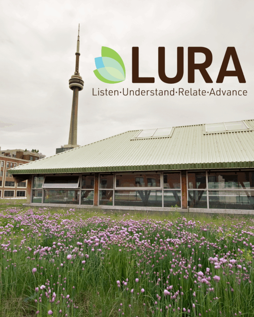 Community Consultation by LURA Consulting Toronto City PLanning