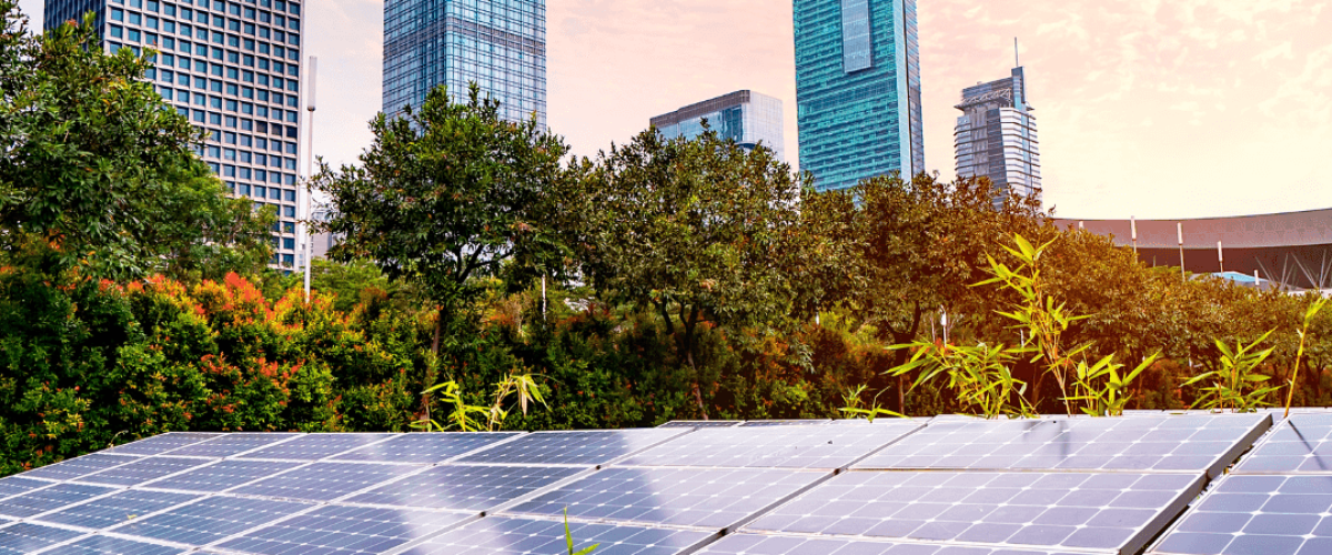 Community Consultation by LURA Consulting Toronto City PLanning