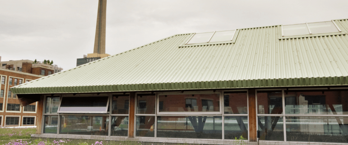 Community Consultation by LURA Consulting Toronto City PLanning